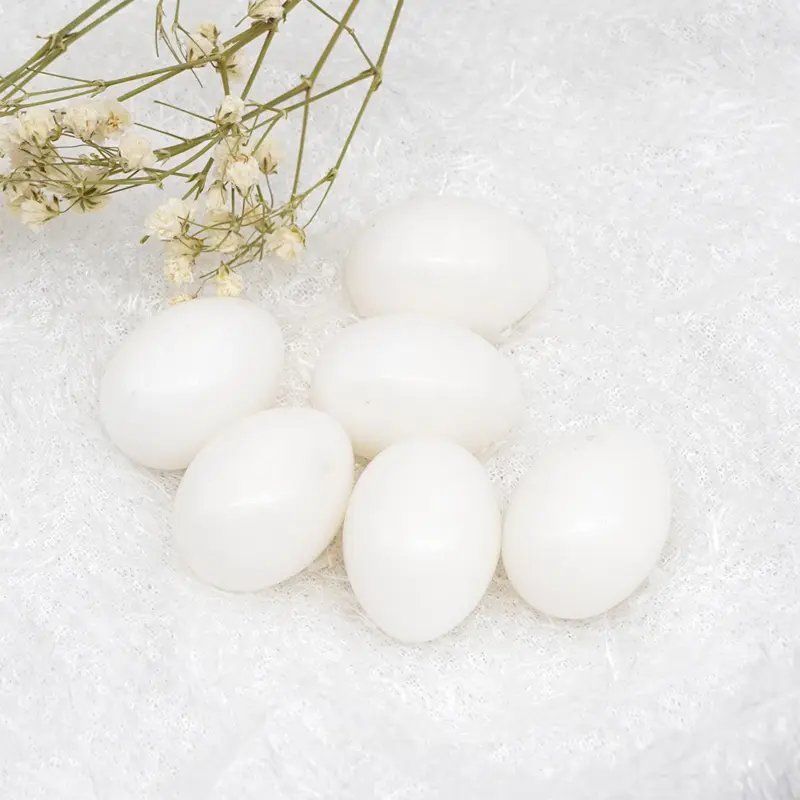 10pc Pigeon False Eggs Filled Plastic Simulation For Hatch Breeding Supplies  False Eggs for Racing Pigeons Breeding Supplie