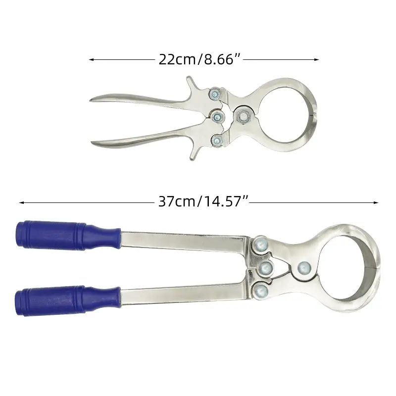 3Types Stainless Steel Bloodless Pig Sheep castration Clamp Castration Tool Castration Forceps Veterinary Special Tools