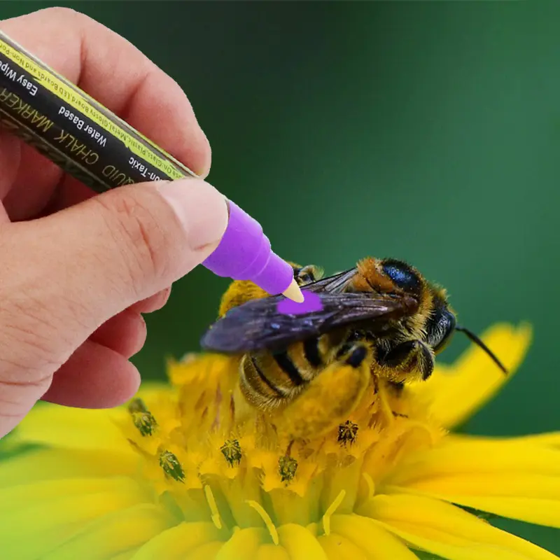 5pcs 8 Pcs/lot Bee marker LED Highlighter Marks Pen Queen Bee Marker Pen 8 Colors Optional Bevel Nib Paintbrush Beekeeping Tool