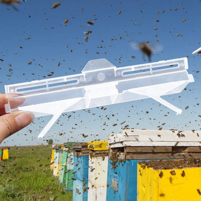 10 Packs Bee Hive Beetle Trap,clear Plastic Reusable Beetle Blaster Trap for Hive Beetle Beekeeping Helper Supplies