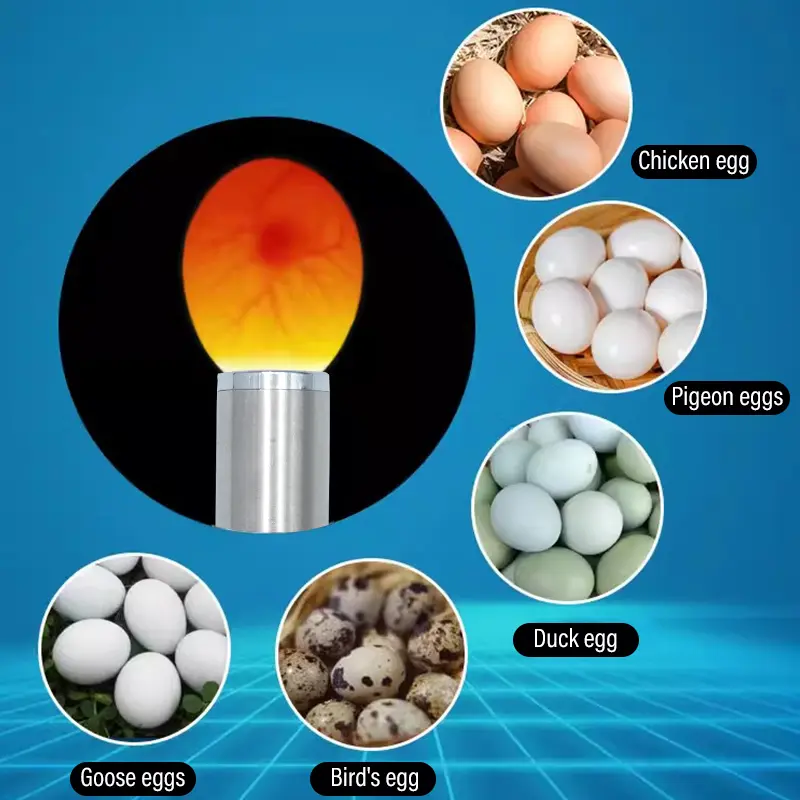 1Pcs Egg Candler Tester High Intensity Cool LED Light Candling Lamp Rechargeable For All Types Egg Broody Or Incubator Monitor