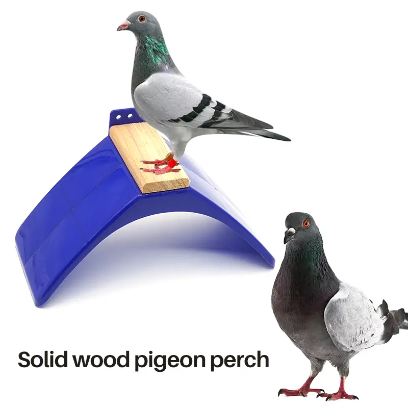 20pcs Pigeon V Roost Perches Frame Dove Rest Stand Blue Dwelling Birds Frame Dwelling Perch Frame Roost Perches Bird Supplies