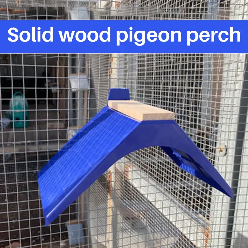 20pcs Pigeon V Roost Perches Frame Dove Rest Stand Blue Dwelling Birds Frame Dwelling Perch Frame Roost Perches Bird Supplies