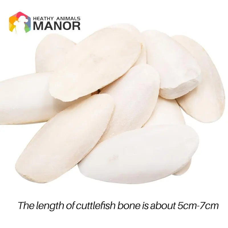 10 Pcs Parrot Desalting Cuttlebone Toys Practical Pet Training Chew Molar Toys Parrot Desalted Cuttlefish Bone Chewing Toy