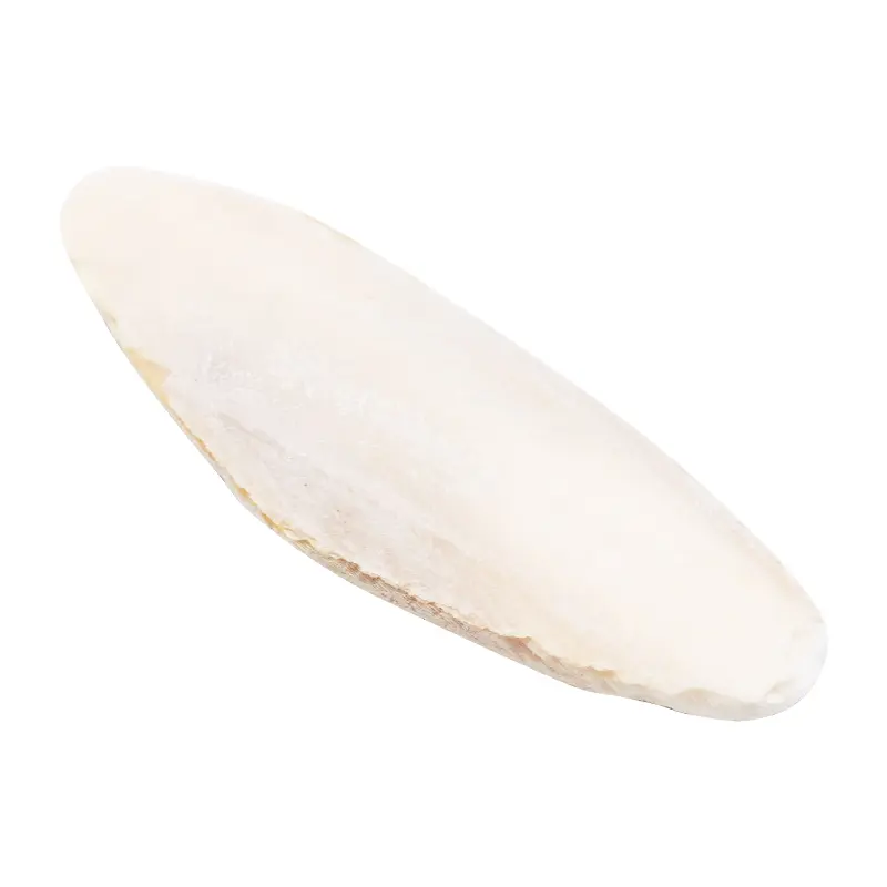 10 Pcs Parrot Desalting Cuttlebone Toys Practical Pet Training Chew Molar Toys Parrot Desalted Cuttlefish Bone Chewing Toy