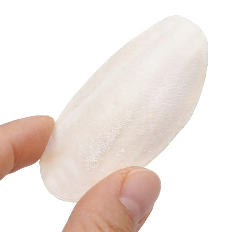 10 Pcs Parrot Desalting Cuttlebone Toys Practical Pet Training Chew Molar Toys Parrot Desalted Cuttlefish Bone Chewing Toy