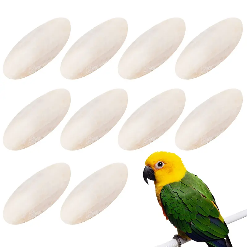 10 Pcs Parrot Desalting Cuttlebone Toys Practical Pet Training Chew Molar Toys Parrot Desalted Cuttlefish Bone Chewing Toy