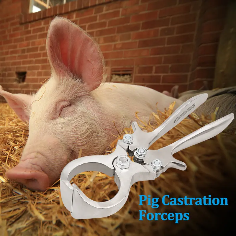 1PC Sheep Castration Pliers Stainless Steel Bloodless Castration Clamp Cattle Goat Wether Pliers Carbon Castration Pliers