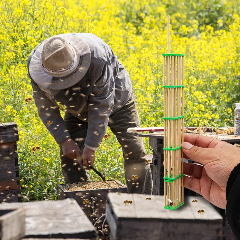 60Pcs Beekeeping Lengthened Bamboo Queen Bee Cage King Bee Isolation Transport Cages Beekeeping Tools Bee Cage