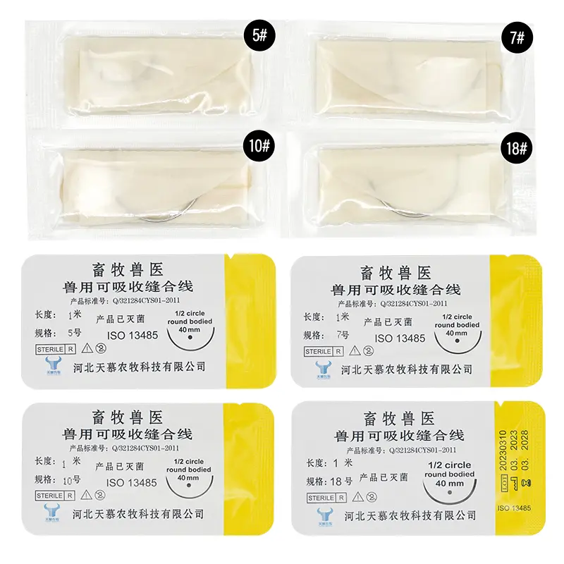 Absorbable Suture Thread Veterinary Protein Stainless Steel Needle Collagen Catgut Pig Cattle Cow Dog Rabbit Horse Animal
