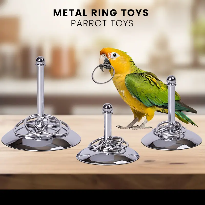 Bird Parrots Interactive Training Toys Intelligence Development Stacking Metal Ring Training Sets Birds Supplies Pet Accessories