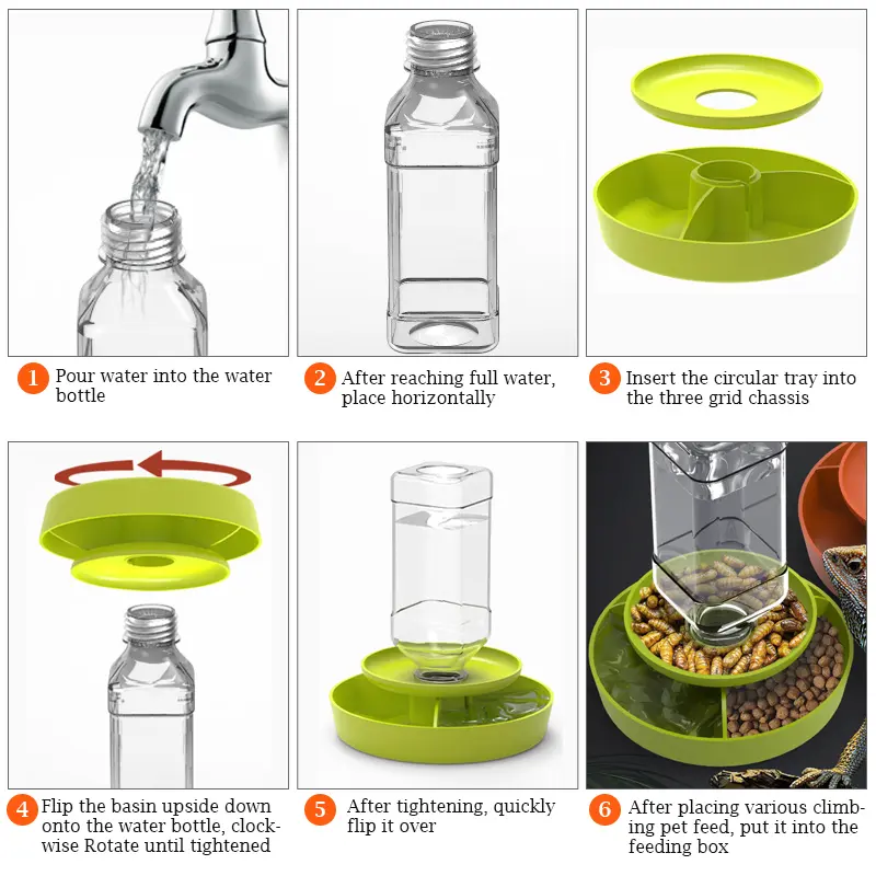 Reptile Water Dispenser Automatic Drinking Bottle Feeder Food  Double Layer Box for Lizards Turtles Snails Spiders Frogs
