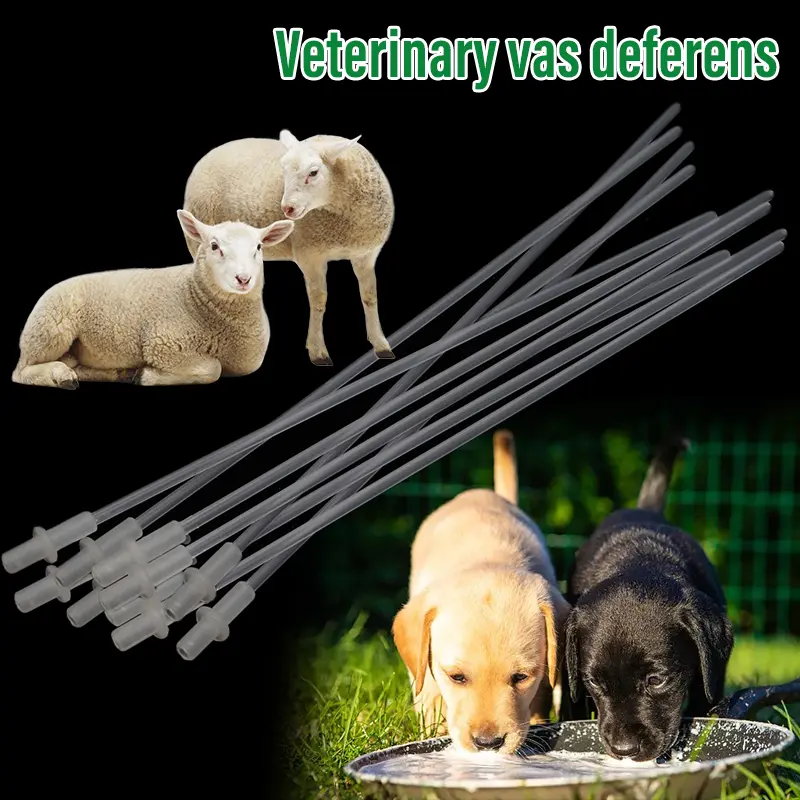 10/20PCS Sheep Dog Pet Artifical Insemination Catheter Disposable Fresh Sperm Semen Injection Device Hospital Breeding Supplies