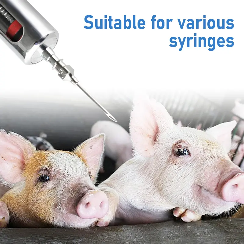 10Pcs/boxs Farm Animals Injection Needle Stainless Steel Dispensing Needle Syringe Poultry Small Veterinary Supplies
