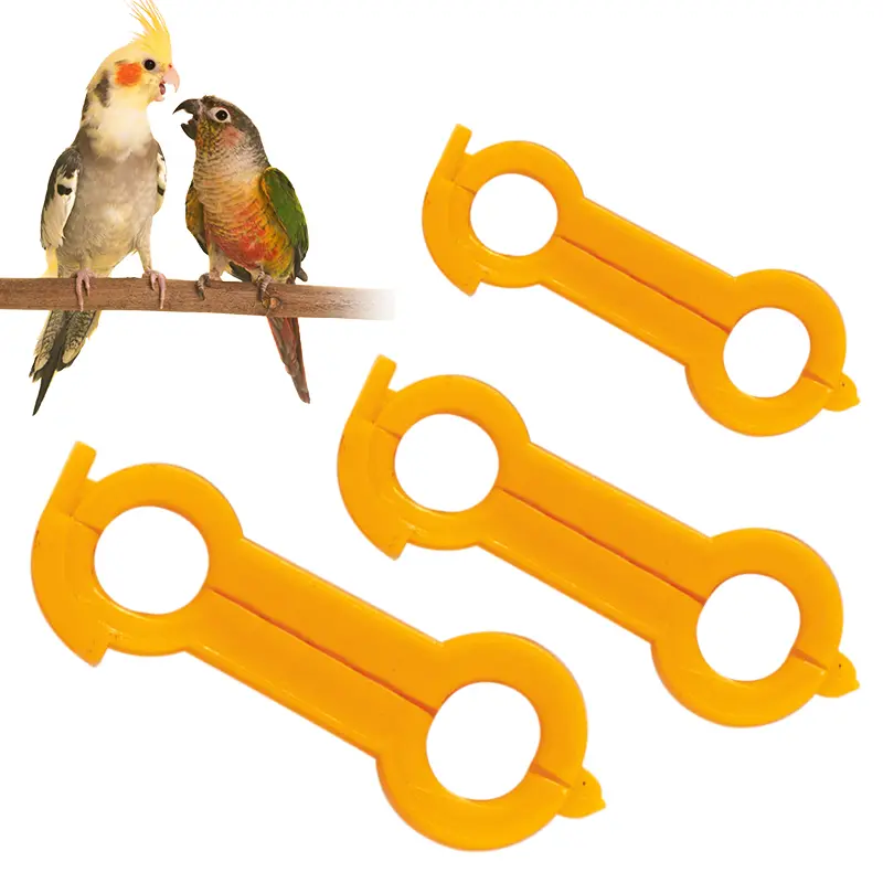 5pcs Parrot Corrector Rutin Chicken Budgie Peony Budgie Cockatiel Nestling‌ Eight-Character Correction Ring Bird Supplies