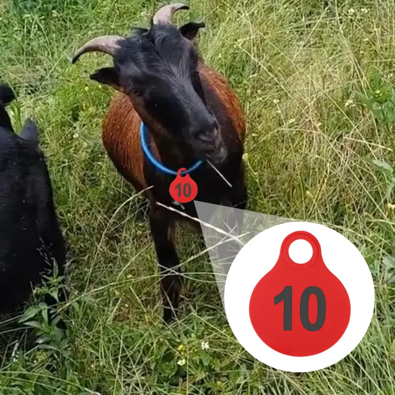 New TPU Animal Tag Plastic Farm Animal Pig Cow Sheep Pet Dog Identification Carrying Tag Supplies Number 01-50/01-100