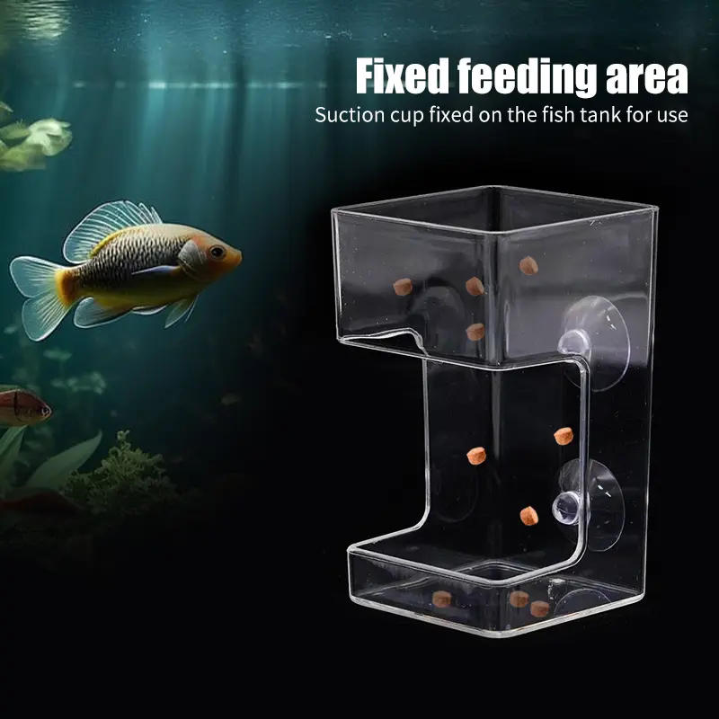 Aquarium Feeding Ring Floating Food Tray Feeder with Suction Cups Transparent Fish Aquatic Pet Supplies