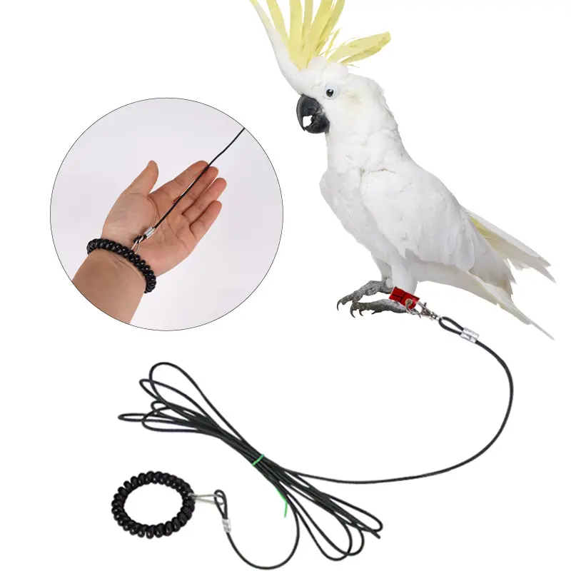 Pet Bird Outdoor Training Harness Rope Bird foot Chain Parrot Anti-flying Traction Straps Bird Feet Bracelet Alloy Foot Ring