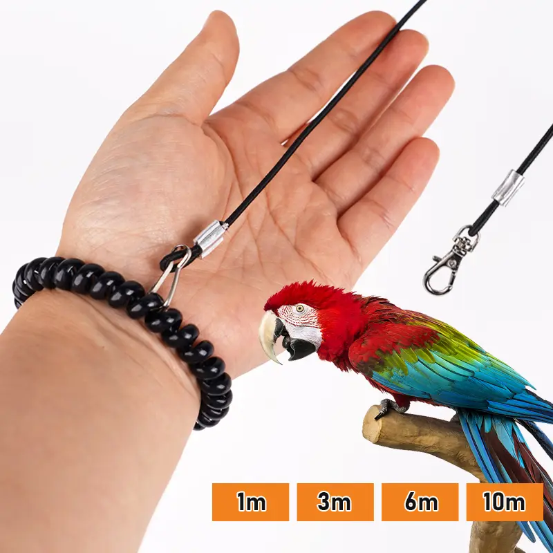 Pet Bird Outdoor Training Harness Rope Bird foot Chain Parrot Anti-flying Traction Straps Bird Feet Bracelet Alloy Foot Ring