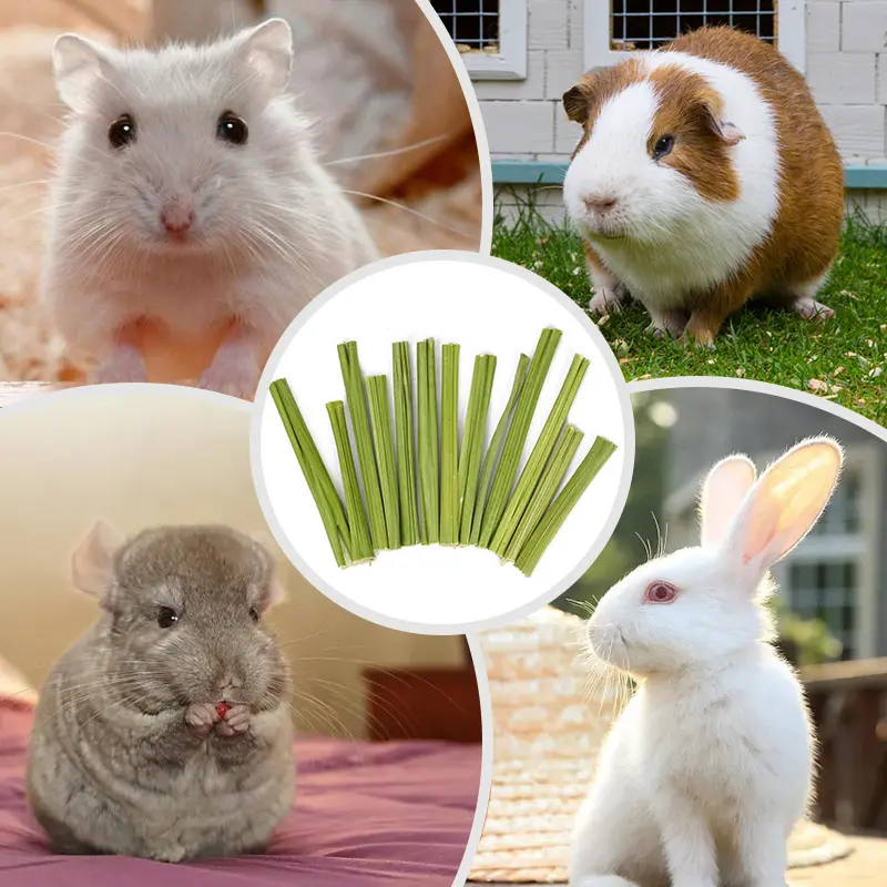 20g Rabbit Molar Papaya Stem Hamsters Chinchillas Rabbit Parrot Rat Guinea Pig Food Snacks Cleaning Teeth Treat Molar Chew Toy