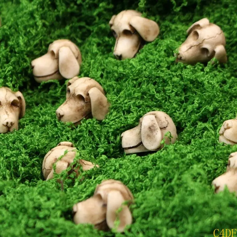 C4DF 20Pieces Dog Skull FlowerPots Decorations for Indoor and Outdoor Use