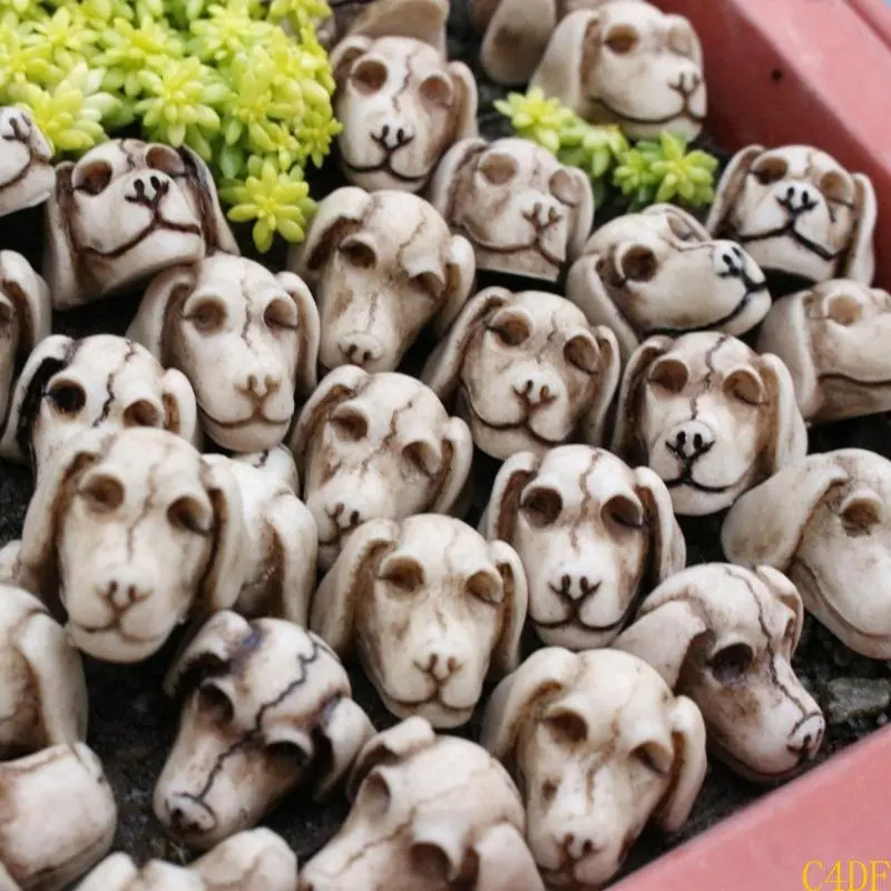 C4DF 20Pieces Dog Skull FlowerPots Decorations for Indoor and Outdoor Use