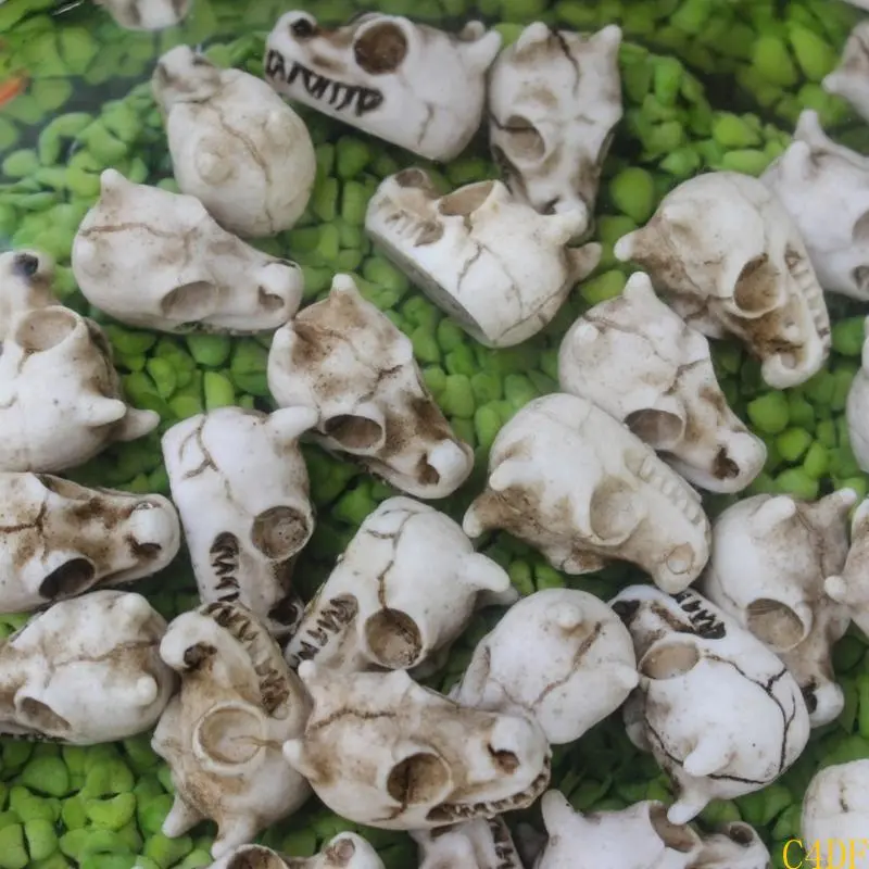 C4DF 20Pcs Dragon Skeletons Head Ornaments for Garden and Home Decoration