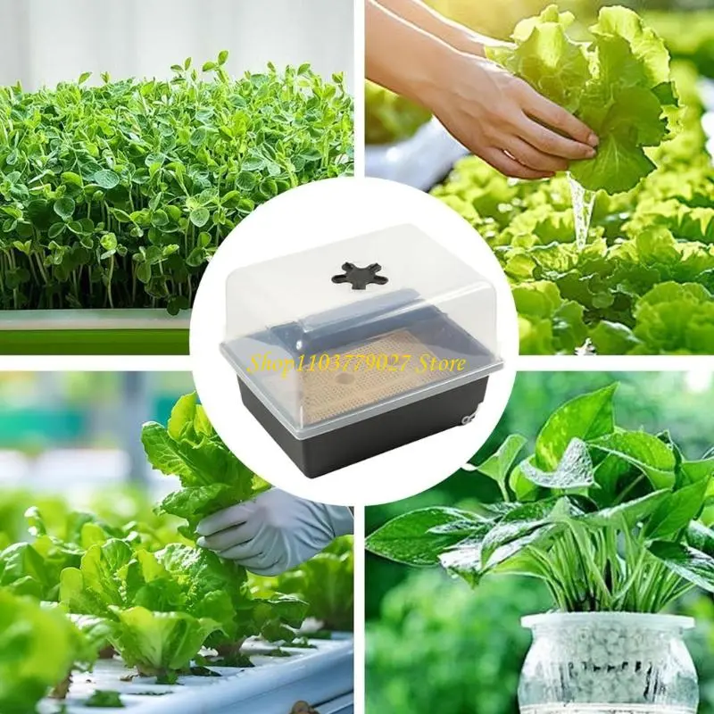 C4DF Large Capacity  Starter Tray with Vented Design for Indoor Gardening & Plant Germination Optimally Plant Development