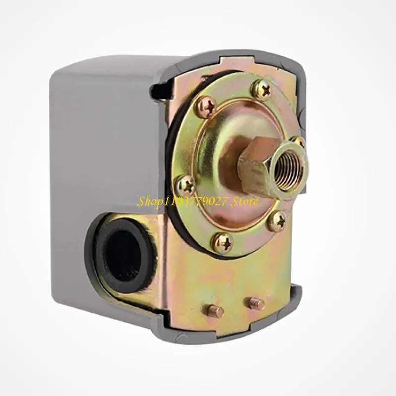 C4DF Adjustable Pressure Regulator for Garden And Household Water Pumps Designs
