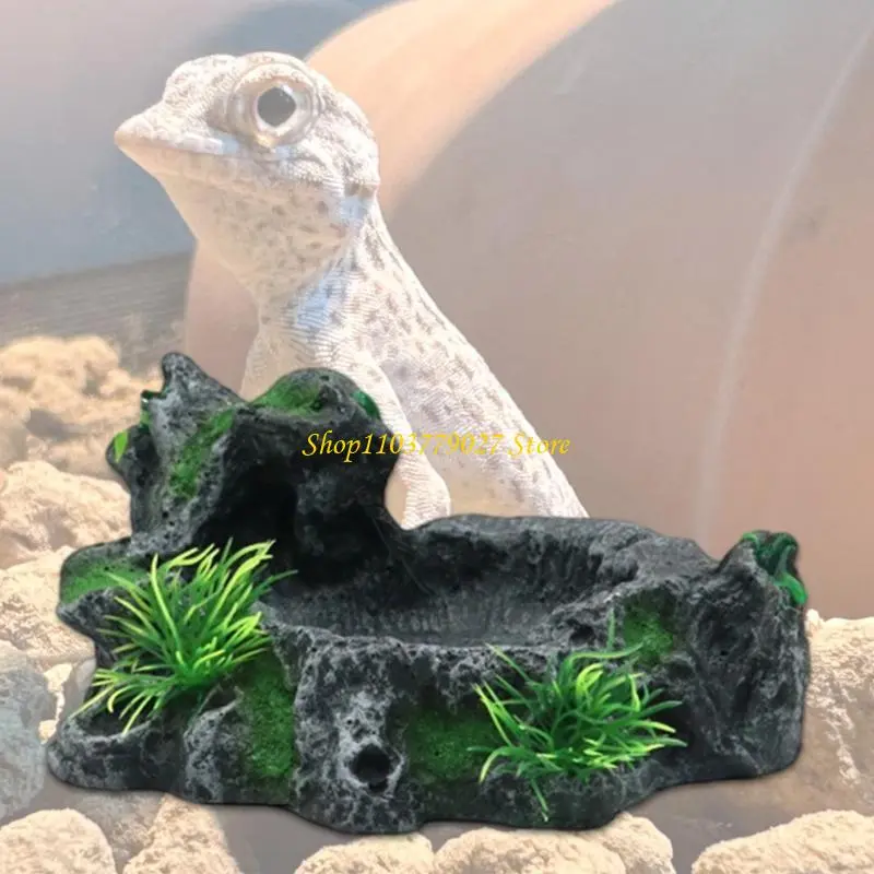 C4DF Single Bowl Reptiles Dishes Reptiles Water and Bowls Breadworm Feeding