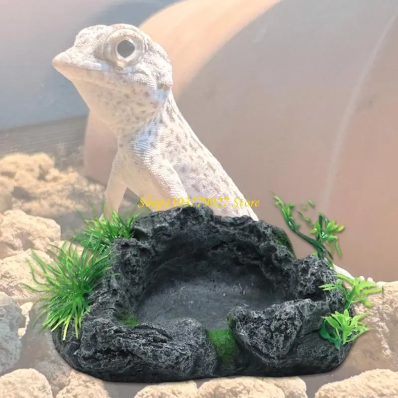 C4DF Single Bowl Reptiles Dishes Reptiles Water and Bowls Breadworm Feeding