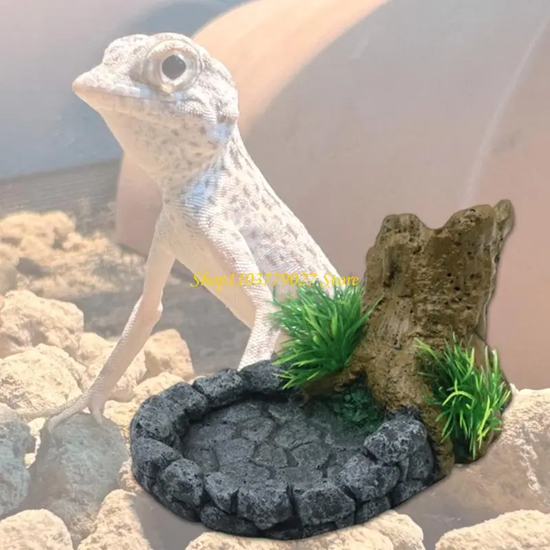 C4DF Single Bowl Reptiles Dishes Reptiles Water and Bowls Breadworm Feeding