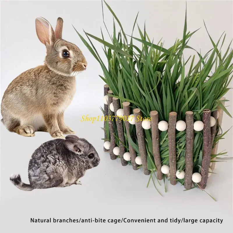 C4DF Durability Small Animal Hays Dispenser With Chewing Surfaces for Gerbils and Pet Dental Care