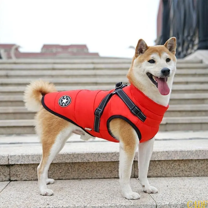 C4DF Dogs Warm Coat for Outdoor Activity Puppy Winter Clothes Hiking Skiing Outfits