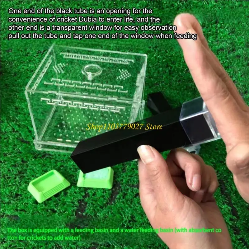 C4DF Large Transparent Cricket Habitat Box Easy to Clean Detachable Base And Removable Lid For Home Use