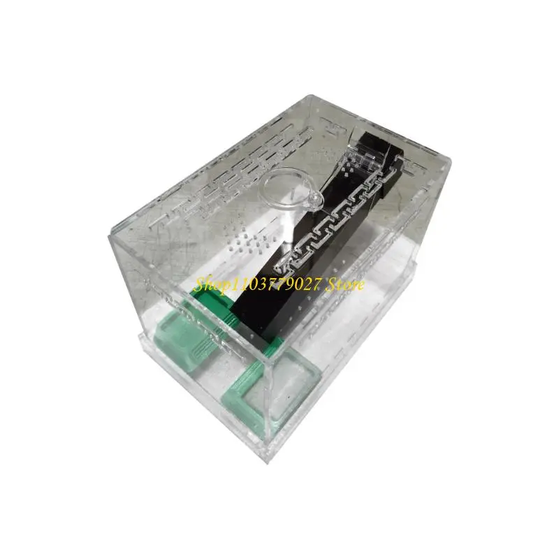 C4DF Large Transparent Cricket Habitat Box Easy to Clean Detachable Base And Removable Lid For Home Use