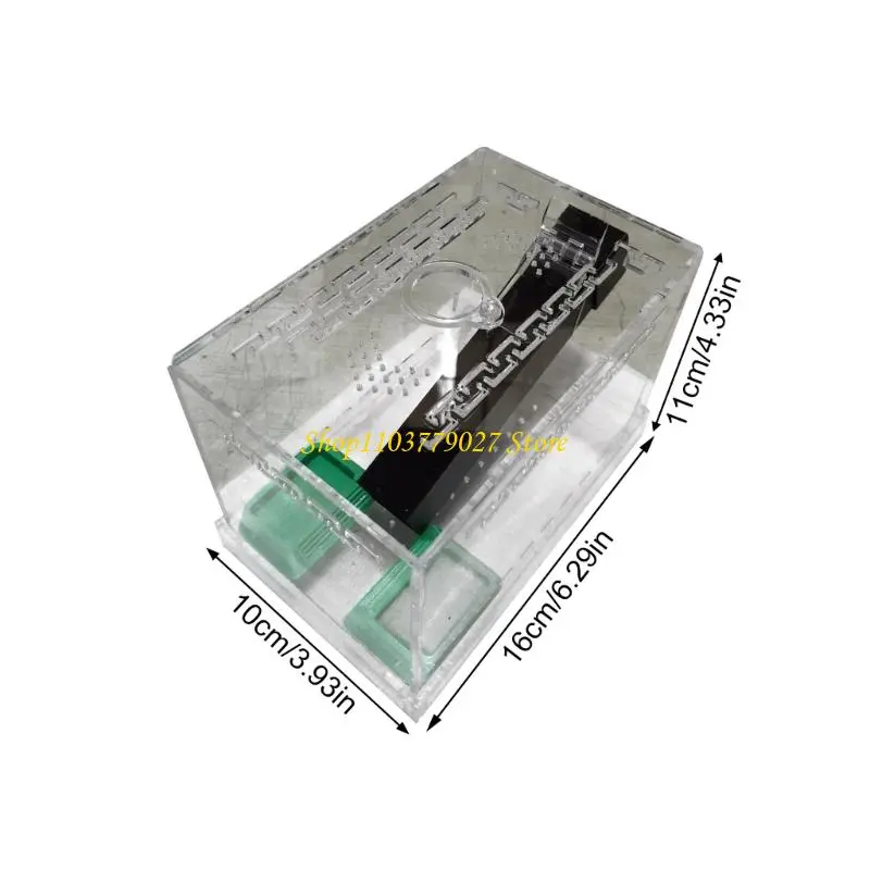 C4DF Large Transparent Cricket Habitat Box Easy to Clean Detachable Base And Removable Lid For Home Use