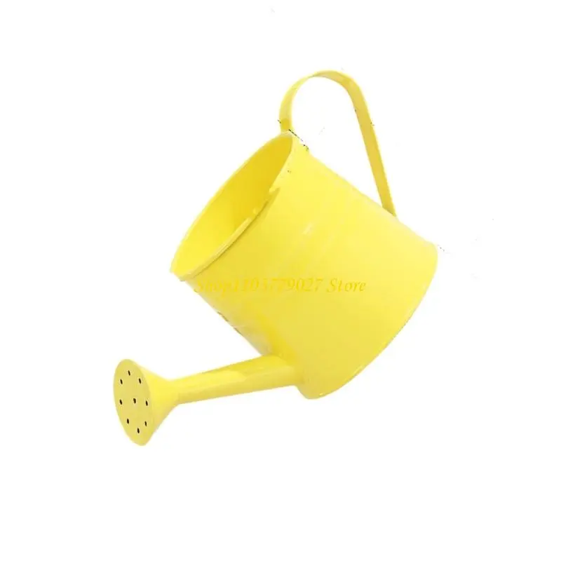 C4DF Watering Can Indoor for House Plant Small Watering Can with Long Spout Flower