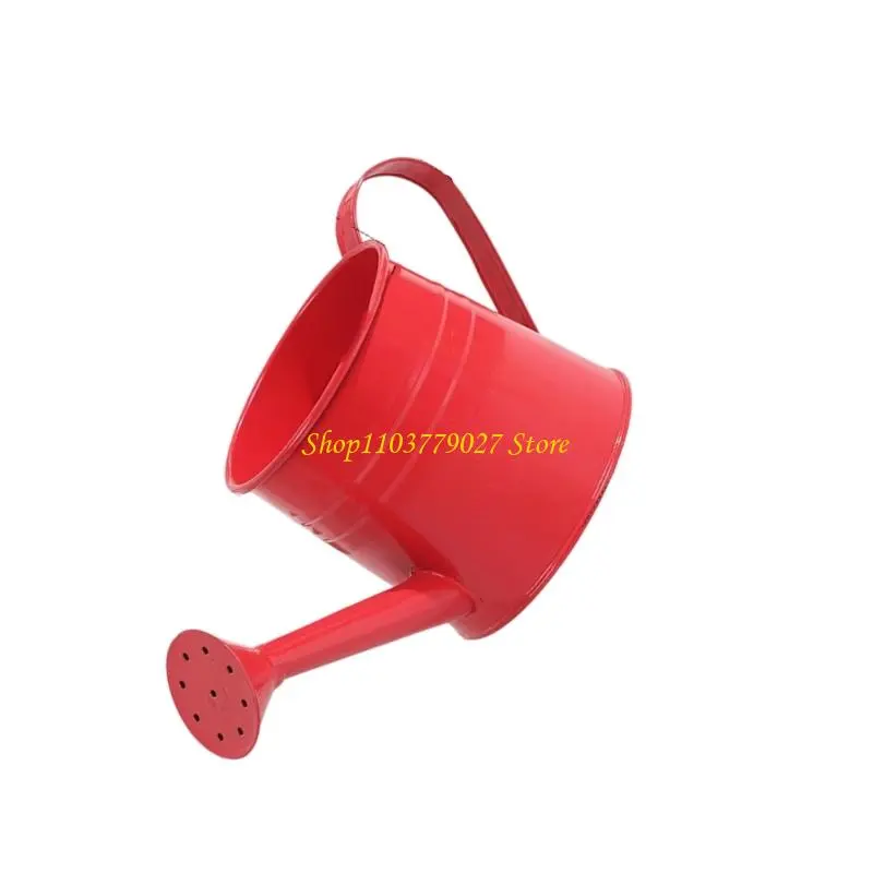 C4DF Watering Can Indoor for House Plant Small Watering Can with Long Spout Flower