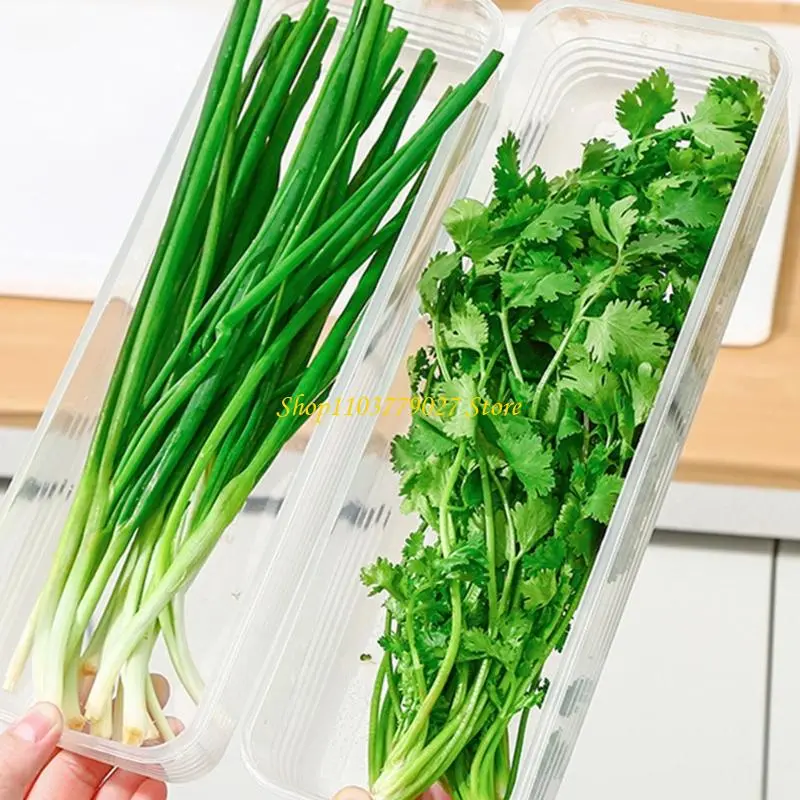 C4DF Convenient Kitchen Storage Solution Container For Garlic Gingers And Scallions