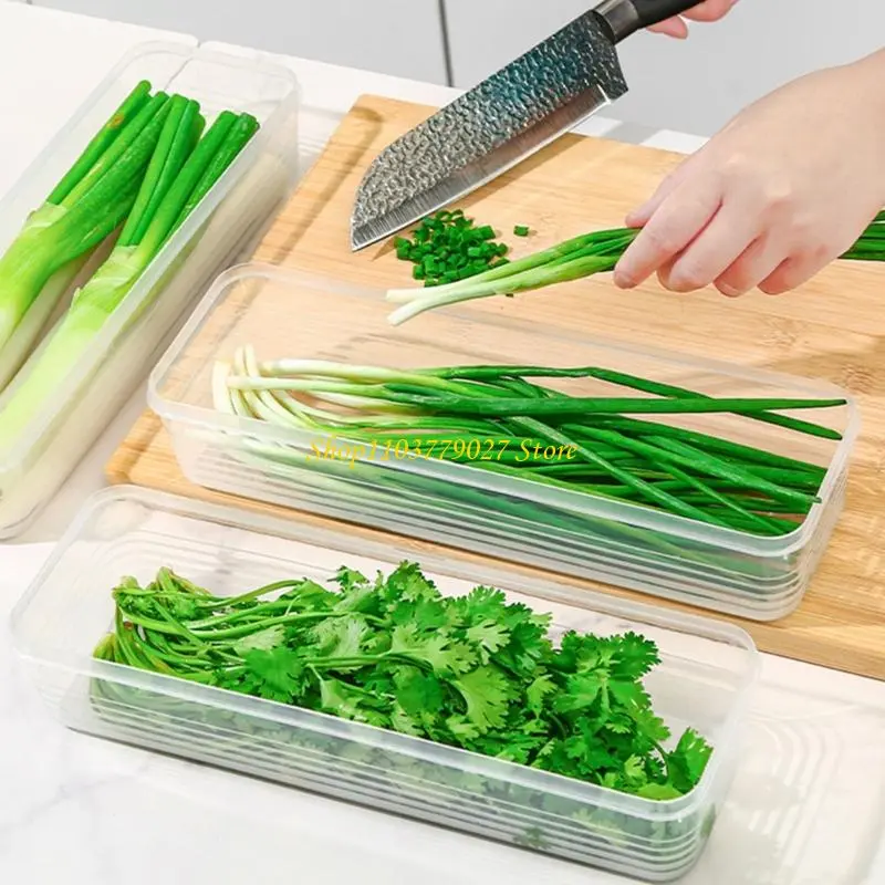 C4DF Convenient Kitchen Storage Solution Container For Garlic Gingers And Scallions