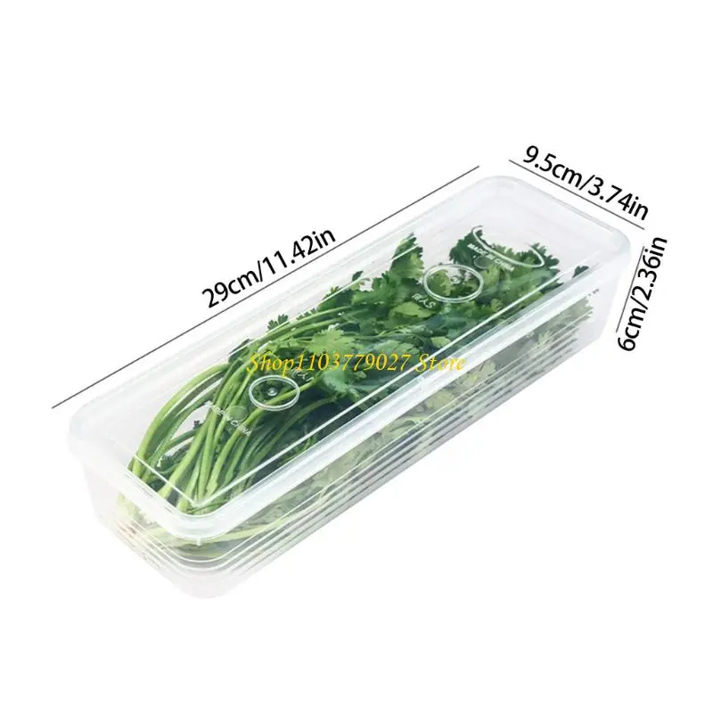 C4DF Convenient Kitchen Storage Solution Container For Garlic Gingers And Scallions