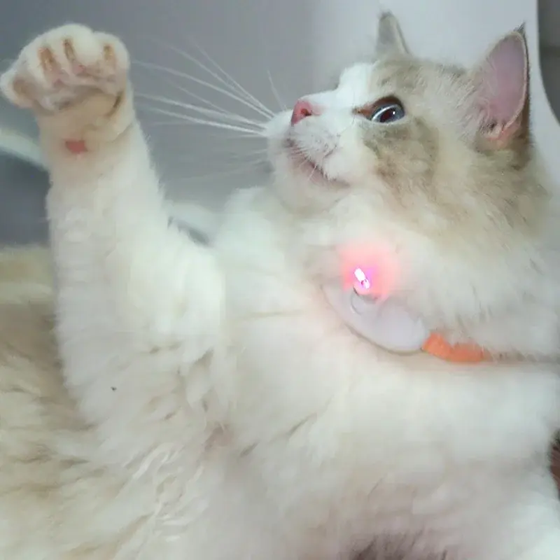 Pet Toys Cat USB Rechargeable Multifunctional Pet Laser Toy for Cats Interactive Funny Kitten Training Laser Toy Cat Accessories