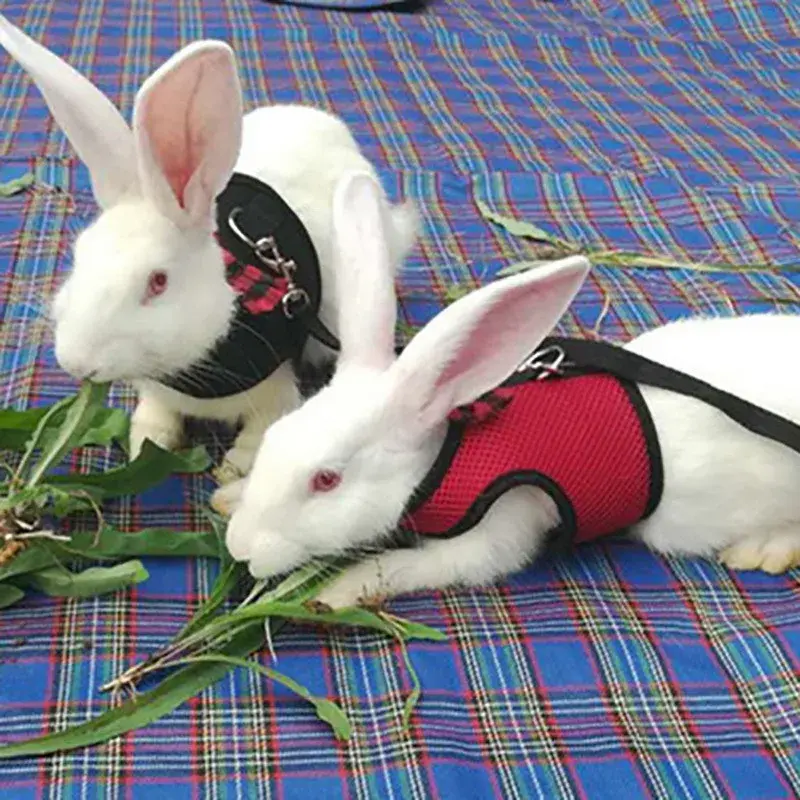 Pet Rabbit Hamster Mesh Soft Adjustable Harness Leash Ferret Guinea Pig Small Animal Walk Lead Bunny Pigs Chinchillas Necklace