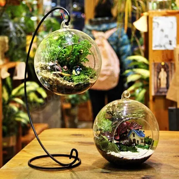 Clear Flower Hanging Ball Vase Planter Terrarium Container Borosilicate Glass for Succulent Planting Home Wedding Decor Gift 8cm