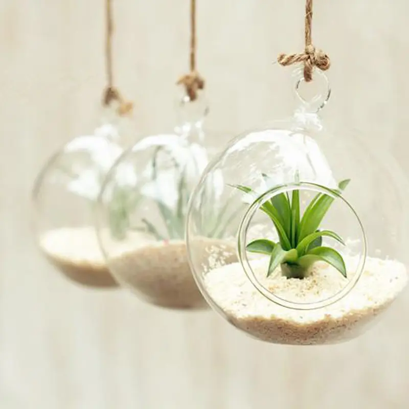 Clear Flower Hanging Ball Vase Planter Terrarium Container Borosilicate Glass for Succulent Planting Home Wedding Decor Gift 8cm