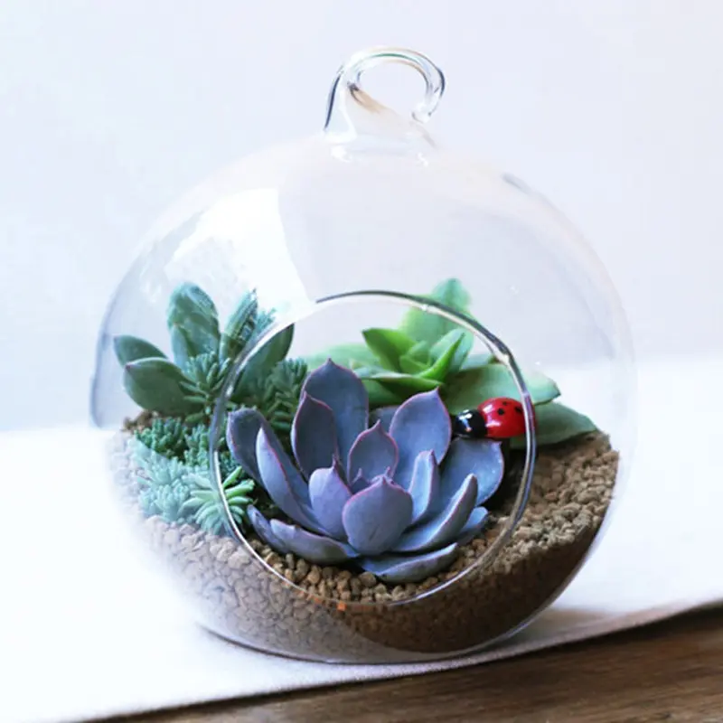 Clear Flower Hanging Ball Vase Planter Terrarium Container Borosilicate Glass for Succulent Planting Home Wedding Decor Gift 8cm
