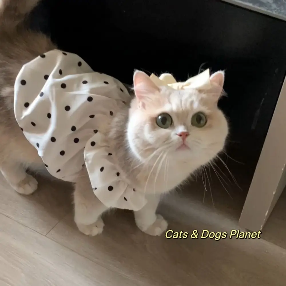 Fashion Dot Pet Dog Dress Sleeveless Summer Clothes Puppy Skirt Slim Style Pet Clothes Chihuahua Bichon French Bulldog