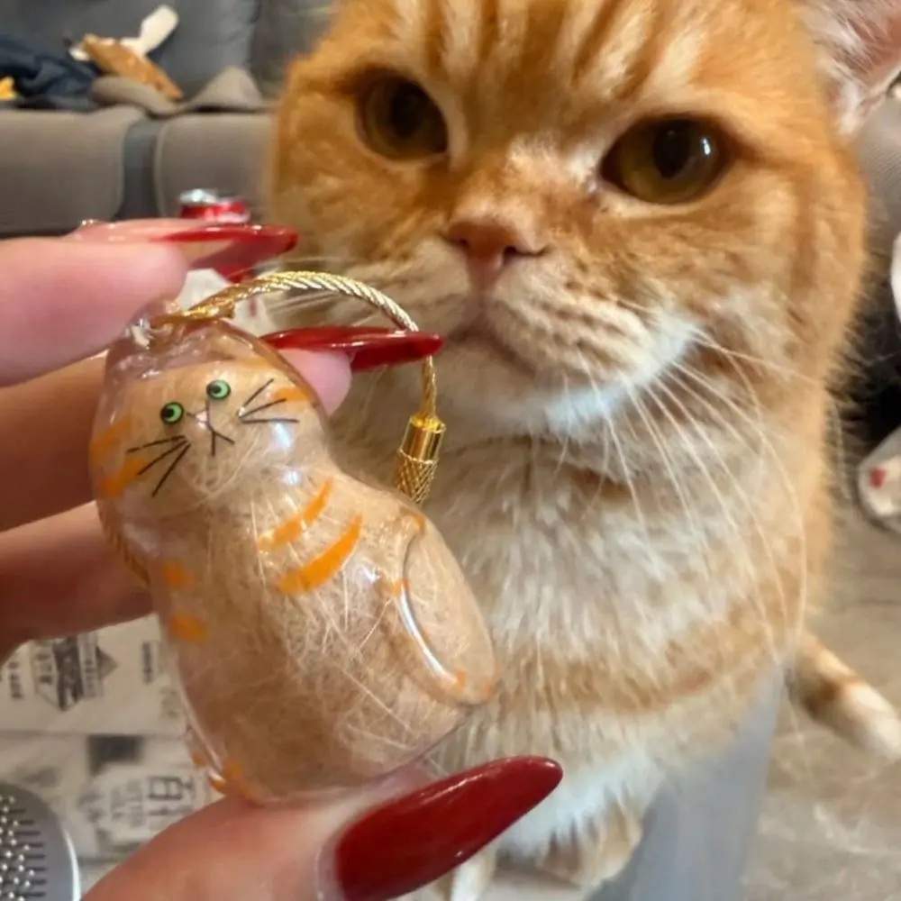 Small Ornaments Cat Fur Storage Pendant Transparent Container Cute Cat Shaped Stylish Keychain DIY Accessories Handmade Design