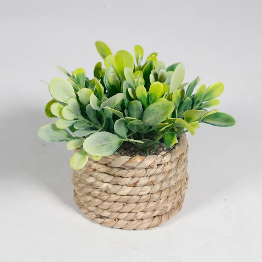 Green Artificial Potted Plant 11cm Woven Artificial Plants Eucalyptus Grass Plastic Leaf Simulated Potted Plants Home Decor